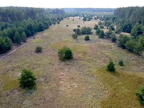 участок по адресу с. Сувид, 