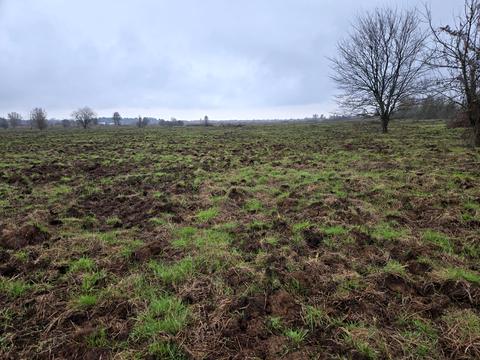 ділянка за адресою 