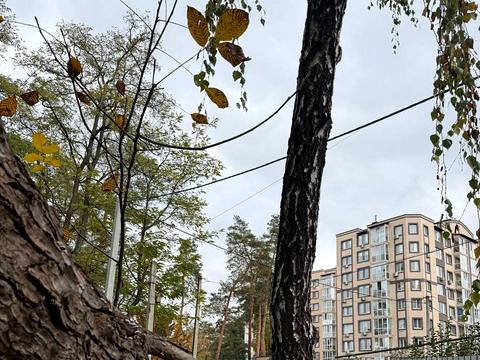 участок по адресу Авиаконструктора Антонова ул., 19