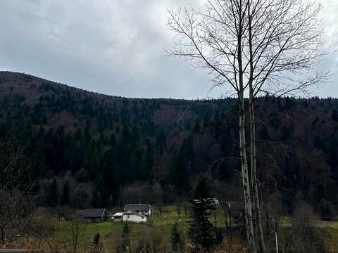 комерційна за адресою Грушевського вул., 1