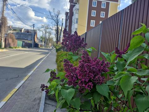 квартира по адресу Лысенко ул., 13