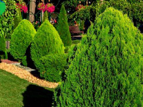 будинок за адресою Платанова вул.