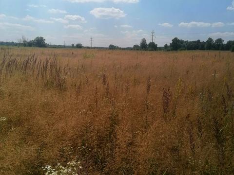 участок по адресу 