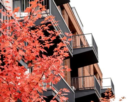 квартира за адресою Львів, Сидора Голубовича вул., 22