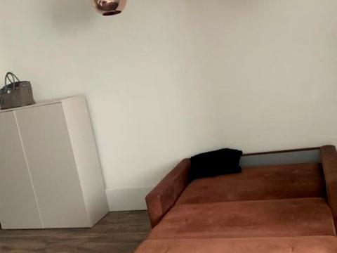 квартира за адресою Кам'янська вул. (Дніпродзержинська), 123