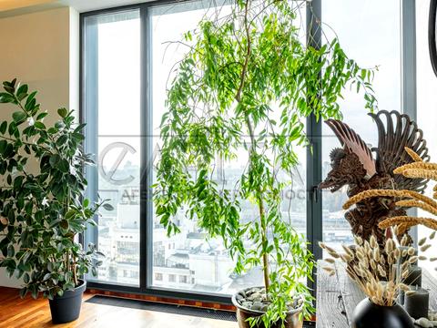 квартира по адресу Паньковская ул., 20/82