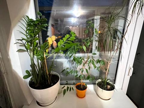 квартира за адресою Новокримська вул., 2