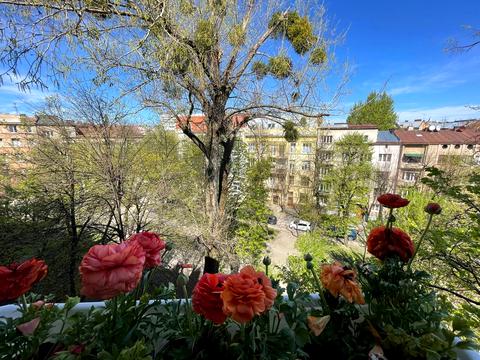 квартира за адресою Львів, Київська вул., 20