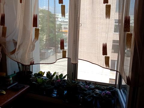 квартира по адресу Почтовая ул. (Горького), 69