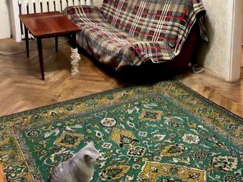 квартира за адресою Олександра Бринжали вул. (Тешебаєва), 58