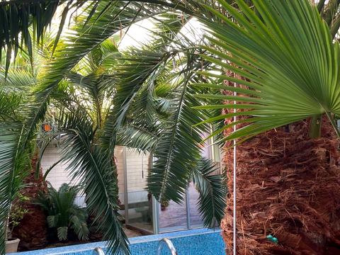 будинок за адресою Чубаївська вул.