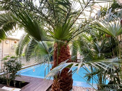 будинок за адресою Чубаївська вул.