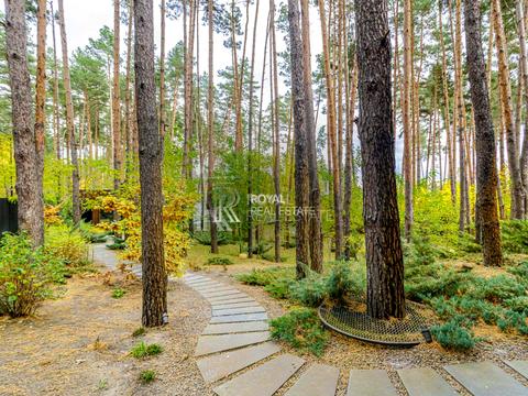 будинок за адресою Центральна вул.