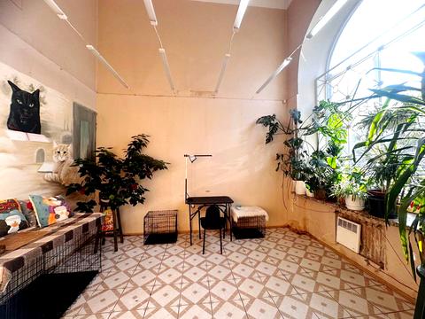 комерційна за адресою Кривий Ріг, Святогеоргіївська вул. (Рязанова), 19