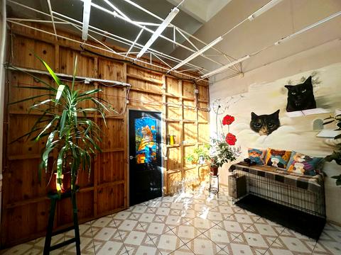 комерційна за адресою Кривий Ріг, Святогеоргіївська вул. (Рязанова), 19