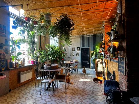 комерційна за адресою Кривий Ріг, Святогеоргіївська вул. (Рязанова), 19