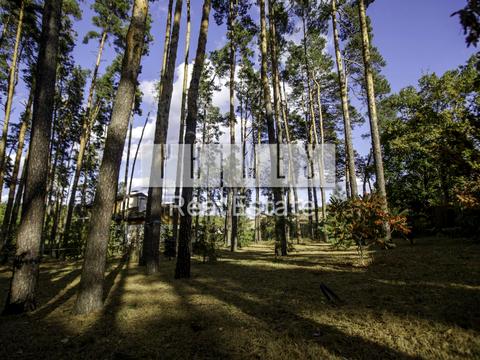 будинок за адресою с. Капітанівка, Центральна