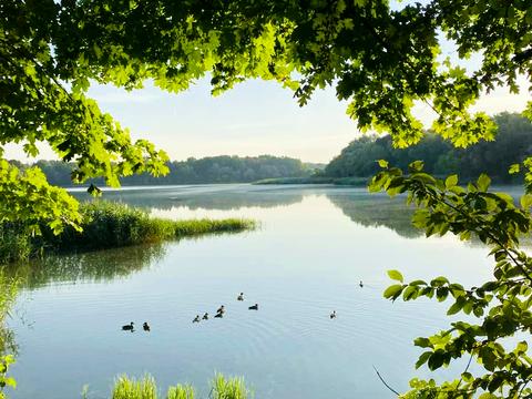 будинок за адресою с. Поршна, Шевченка