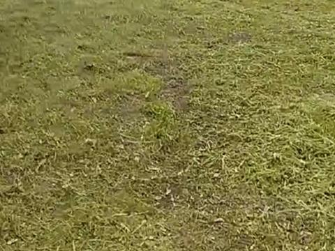 участок по адресу Полевая ул., 8