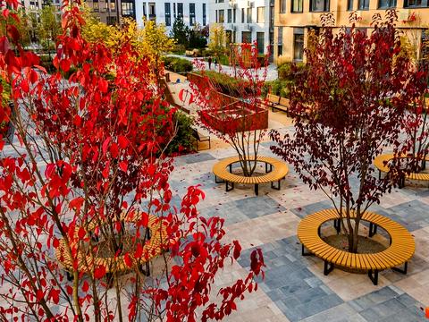 квартира за адресою Салютна вул., 2к9