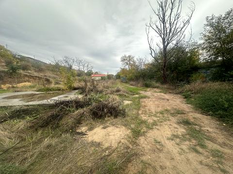 ділянка за адресою Берегова