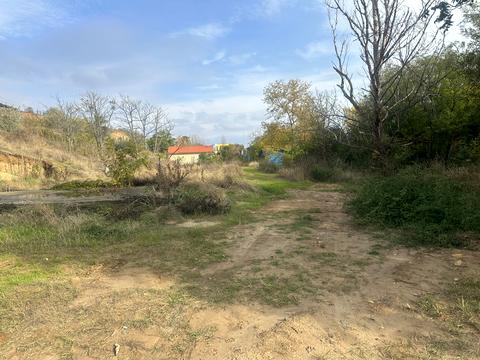 ділянка за адресою Берегова