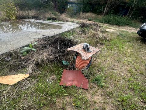 ділянка за адресою Берегова