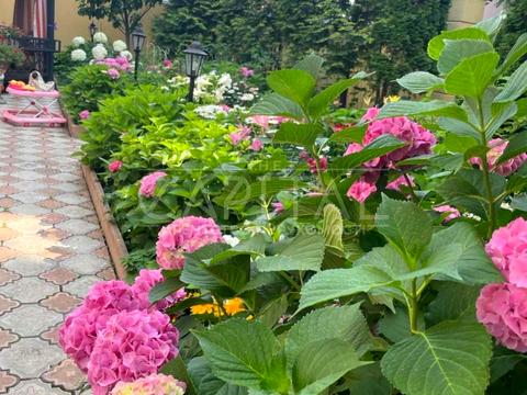 будинок за адресою Звіринецька