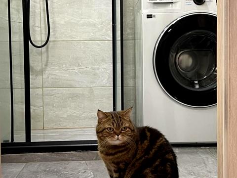 квартира за адресою Гната Хоткевича вул., 44г к2