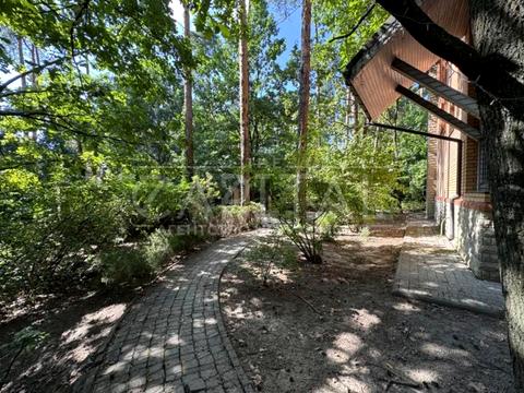 дом по адресу Покровська, 1