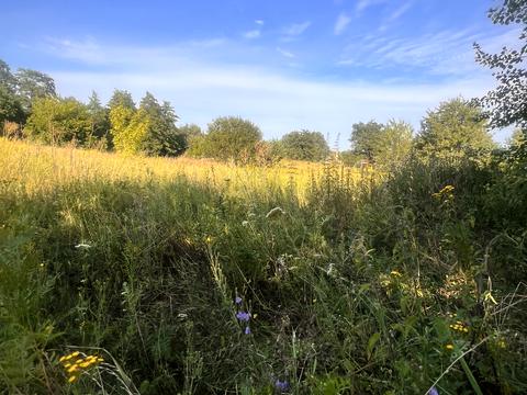 ділянка за адресою 