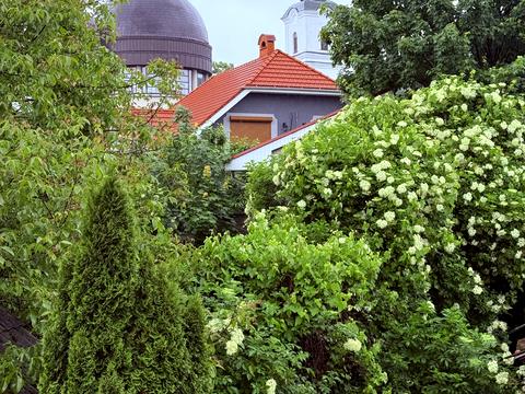 коммерческая по адресу Берчени ул., 5