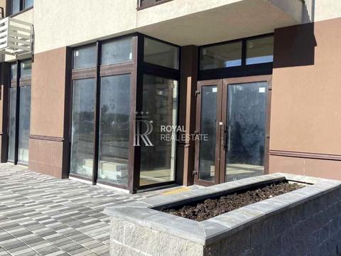 комерційна за адресою Олександра Олеся вул., 2