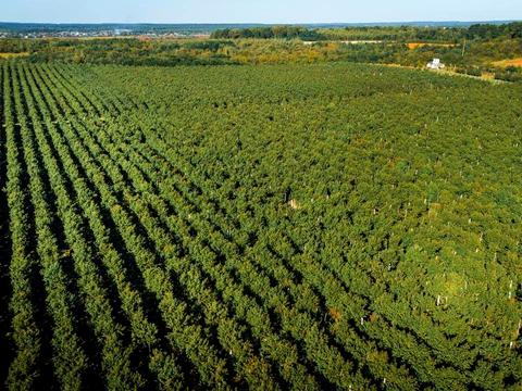 коммерческая по адресу Мостиска, 16-го Июля ул., 41