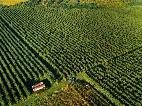 коммерческая по адресу Мостиска, 16-го Июля ул., 41