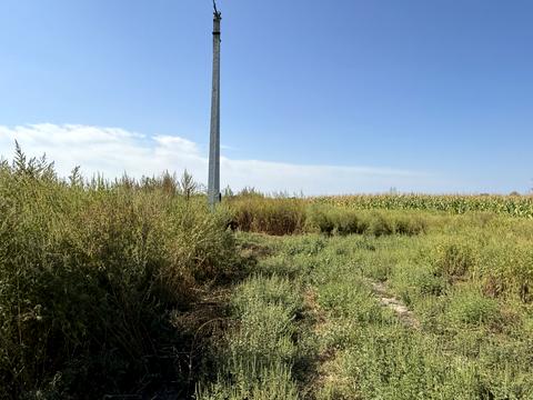 участок по адресу с. Зазимье, Верболозна