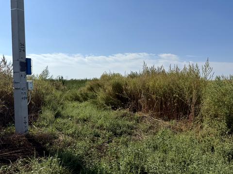 участок по адресу с. Зазимье, Верболозна