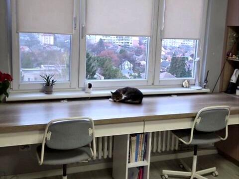 квартира за адресою Свободи просп., 1