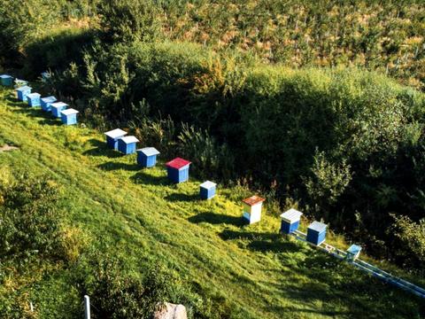 ділянка за адресою 