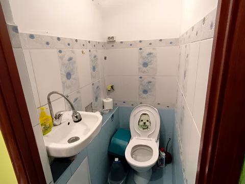 комерційна за адресою Набережна Перемоги вул., 78