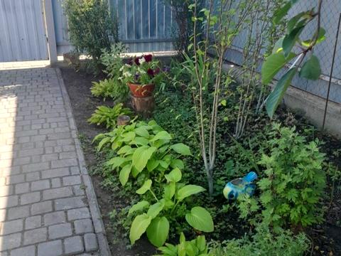 будинок за адресою  Кароліно-Бугаз, Лиманська вул.