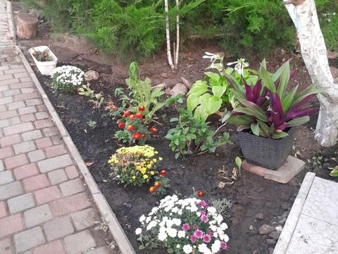 будинок за адресою  Кароліно-Бугаз, Лиманська вул.