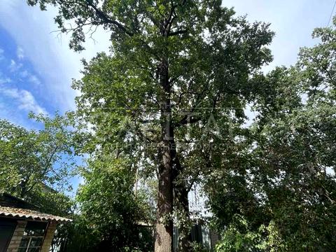 ділянка за адресою Садова вул. (Косіора)