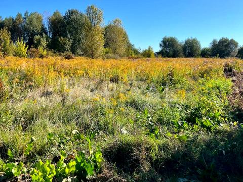ділянка за адресою Озерна вул.