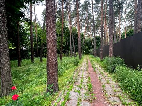 будинок за адресою Дмитра Павличка вул. (Пушкінська), 4