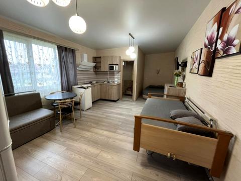 квартира по адресу Дача Ковалевского ул., 71