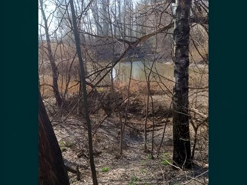 ділянка за адресою 