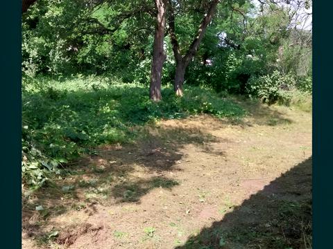 ділянка за адресою 