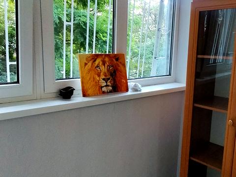 квартира по адресу Люстдорфская дор. (Черноморская), 172