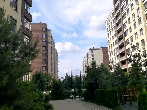 квартира за адресою Березова вул., 43